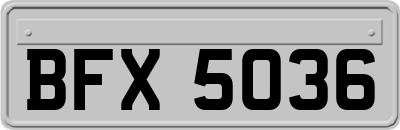 BFX5036