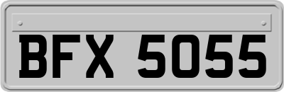 BFX5055