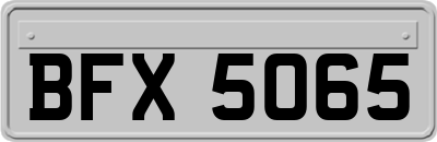BFX5065