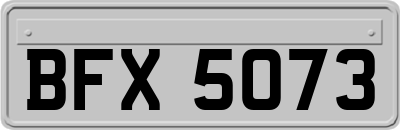 BFX5073