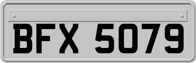 BFX5079