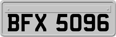 BFX5096