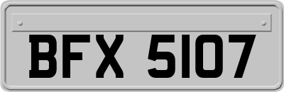 BFX5107