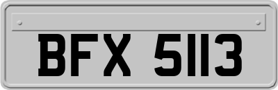 BFX5113