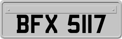 BFX5117