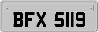 BFX5119