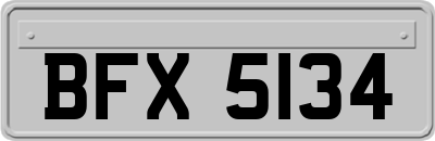 BFX5134