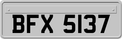 BFX5137