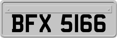 BFX5166