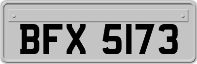 BFX5173