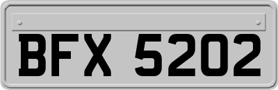 BFX5202