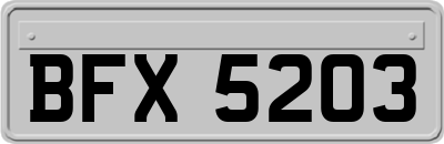 BFX5203