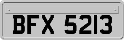 BFX5213