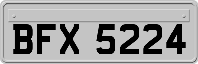 BFX5224