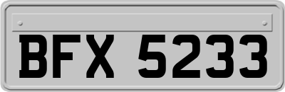 BFX5233