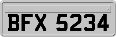 BFX5234