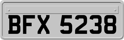 BFX5238