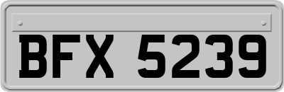 BFX5239