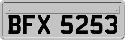 BFX5253