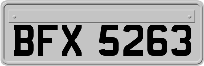 BFX5263
