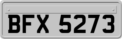 BFX5273