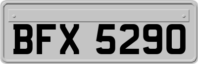 BFX5290