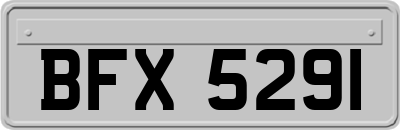 BFX5291