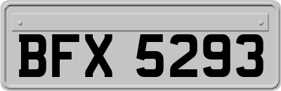 BFX5293