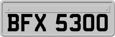 BFX5300