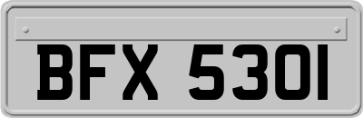 BFX5301