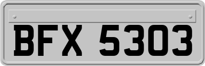 BFX5303
