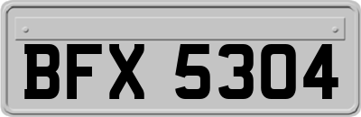 BFX5304
