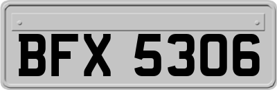 BFX5306
