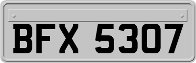 BFX5307
