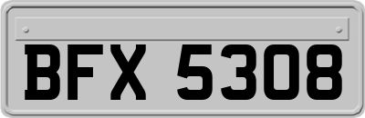 BFX5308