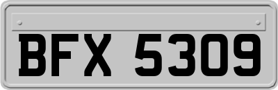 BFX5309