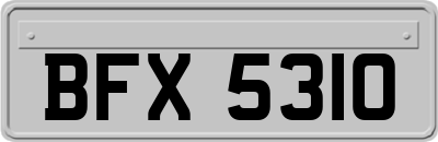 BFX5310