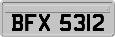 BFX5312