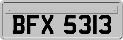 BFX5313