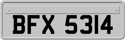 BFX5314