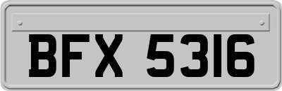 BFX5316