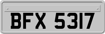 BFX5317