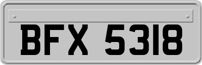 BFX5318