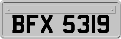 BFX5319