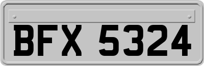BFX5324