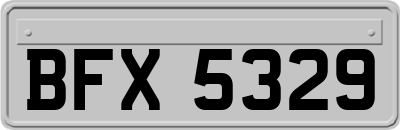 BFX5329