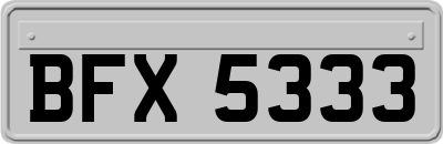 BFX5333
