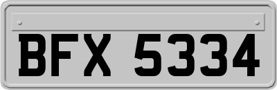 BFX5334