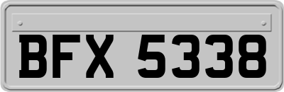 BFX5338
