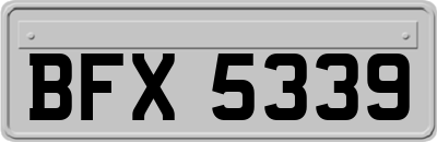 BFX5339